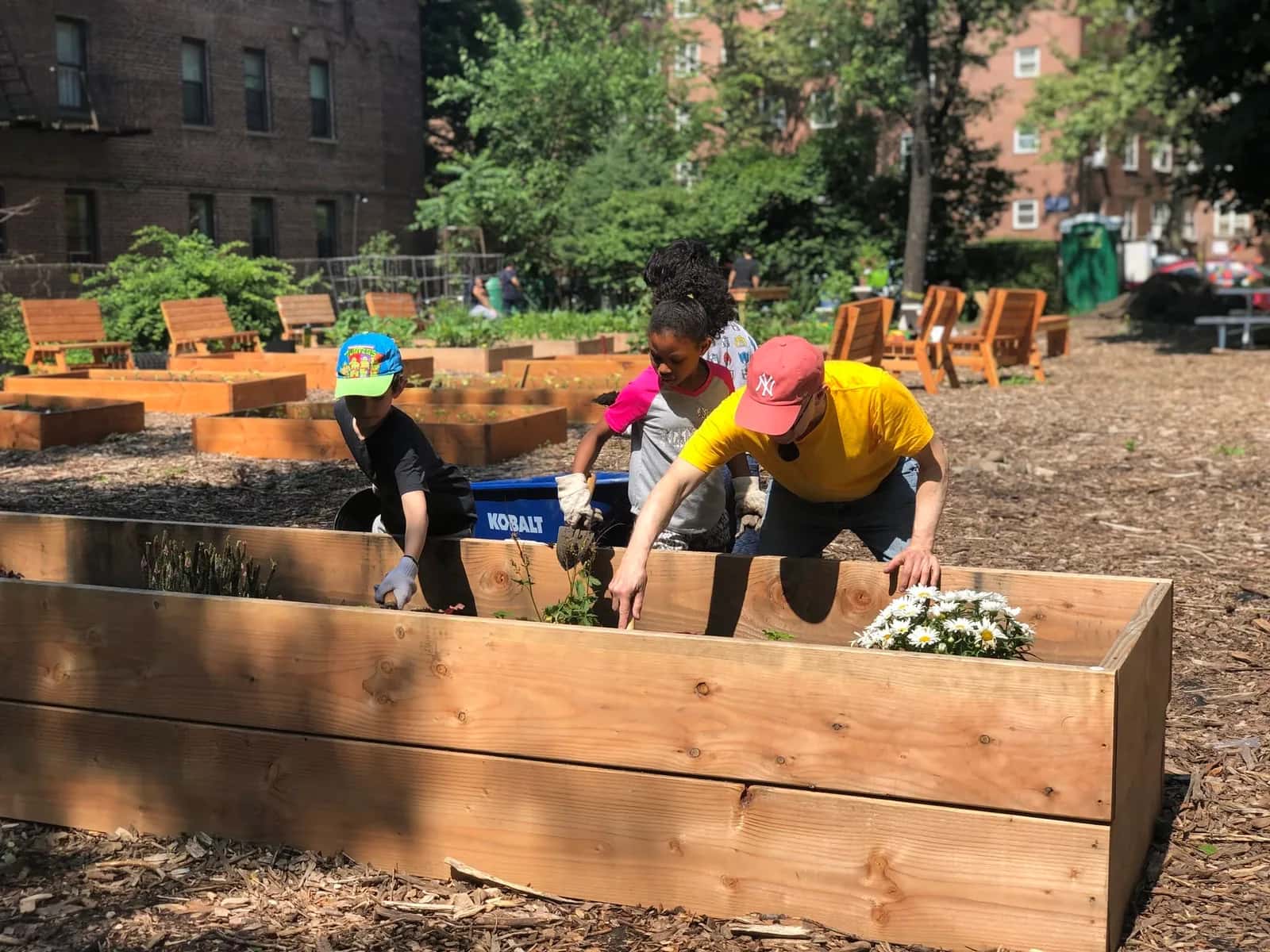 Moore Jackson Community Garden, photo 1